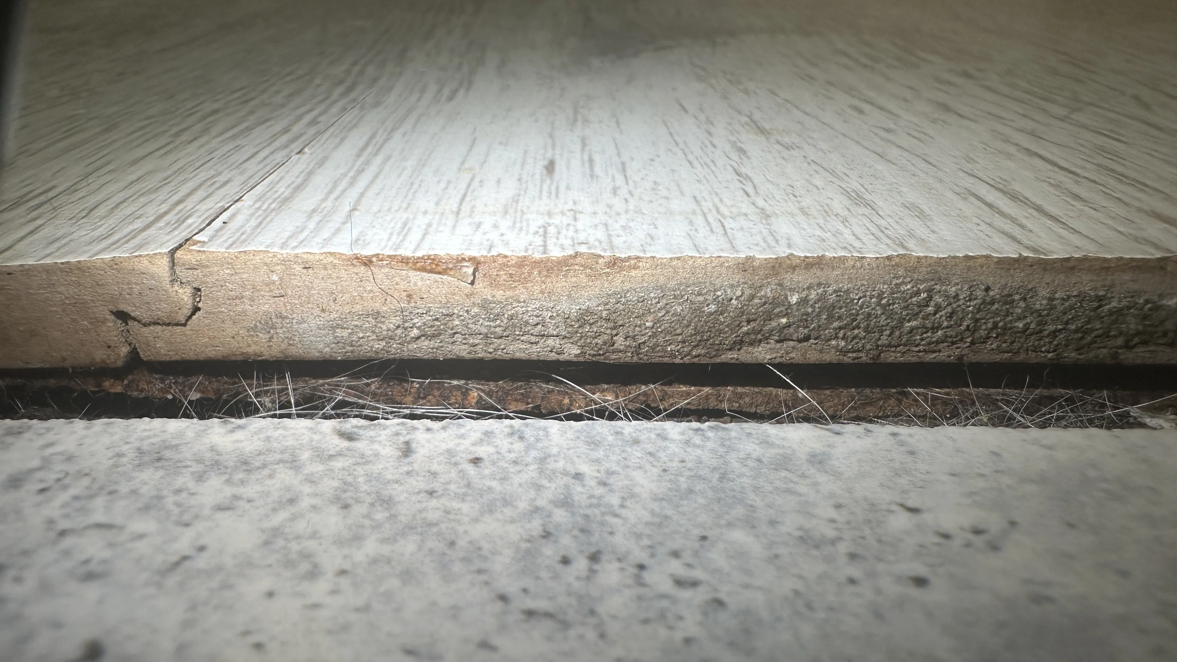 Разбухший стык обычного ламината
